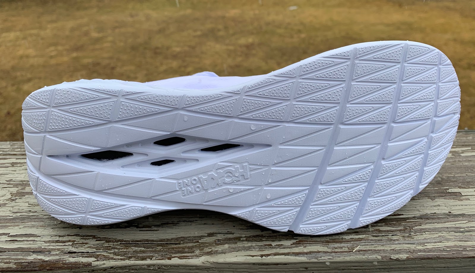hoka with carbon plate